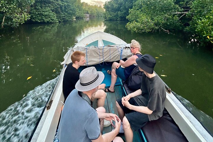 2 uur Bentota River Safari: krokodillen, apen, mangroves en meer