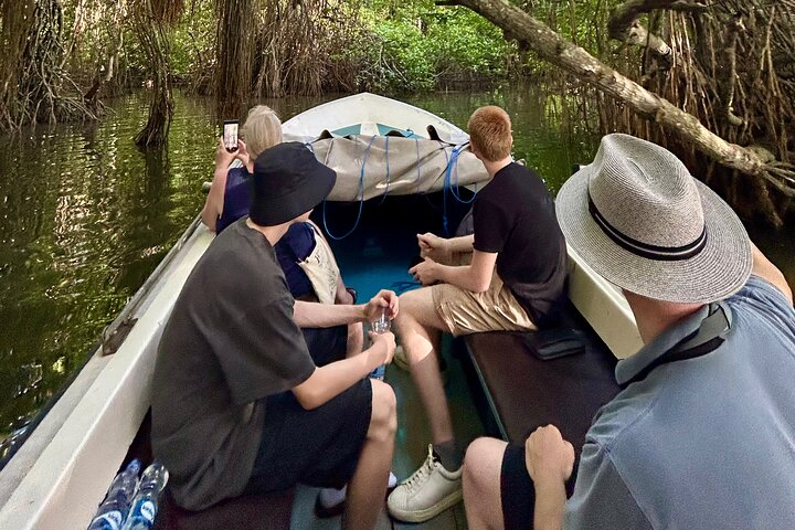2 uur Bentota River Safari: krokodillen, apen, mangroves en meer