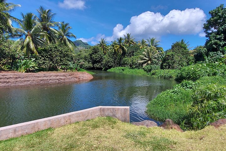 1/2 dag "Treasures of Raiatea" med båt - perfekt för kryssningspassagerare
