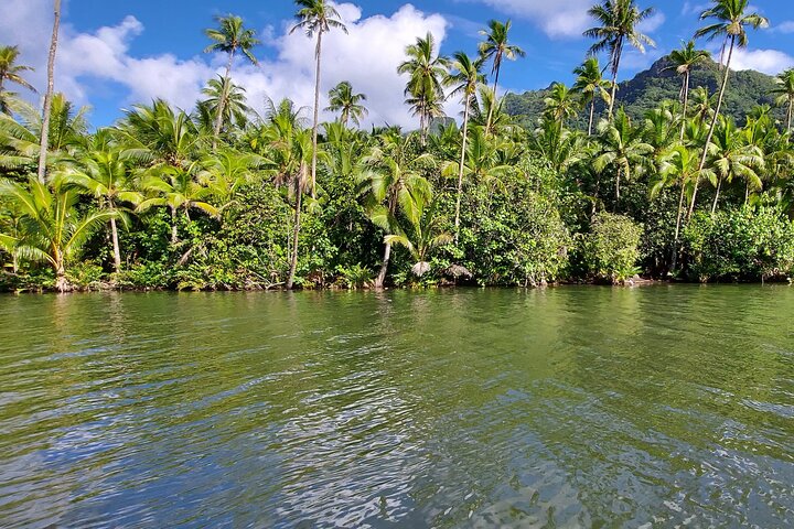 1/2 dag "Treasures of Raiatea" med båt - perfekt för kryssningspassagerare