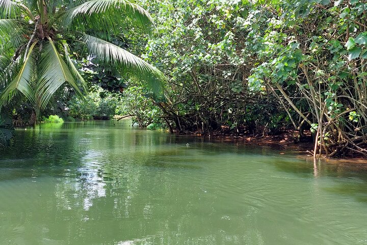 1/2 dag "Treasures of Raiatea" med båt - perfekt för kryssningspassagerare