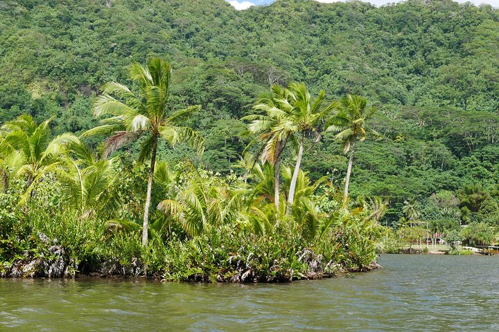 1/2 dag "Treasures of Raiatea" med båt - perfekt för kryssningspassagerare