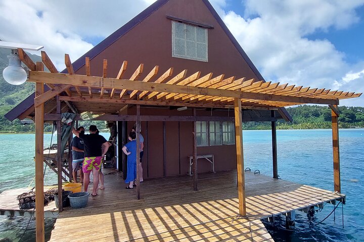 1/2 dag "Treasures of Raiatea" med båt - perfekt för kryssningspassagerare