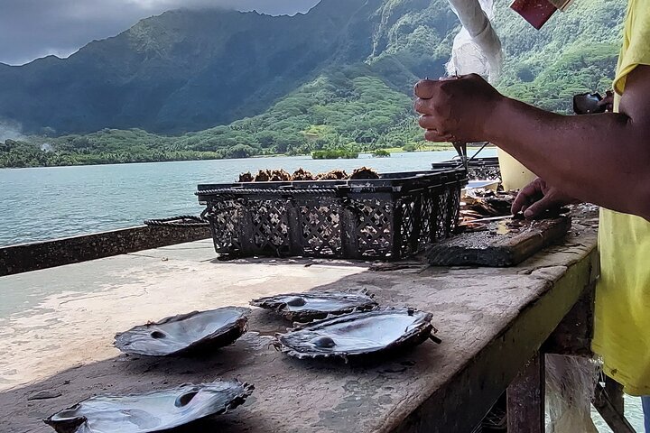 1/2 dag "Treasures of Raiatea" med båt - perfekt för kryssningspassagerare