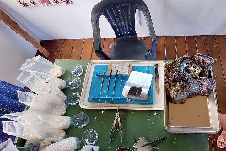1/2 dag "Treasures of Raiatea" med båt - perfekt för kryssningspassagerare