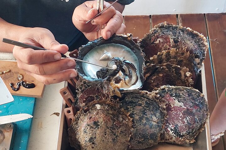 1/2 dag "Treasures of Raiatea" med båt - perfekt för kryssningspassagerare
