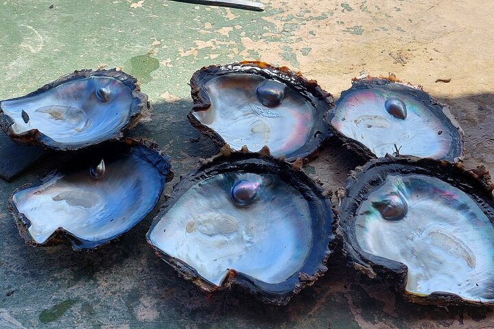 1/2 dag "Treasures of Raiatea" med båt - perfekt för kryssningspassagerare