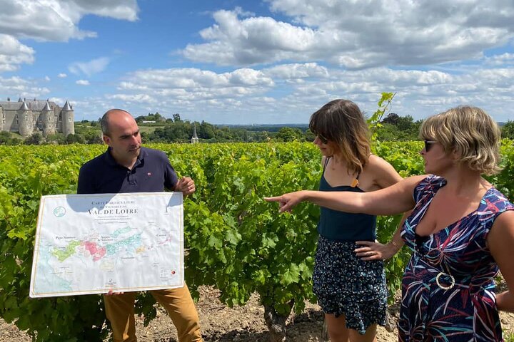 Loiredalens vintur på eftermiddagen från Tours eller Amboise