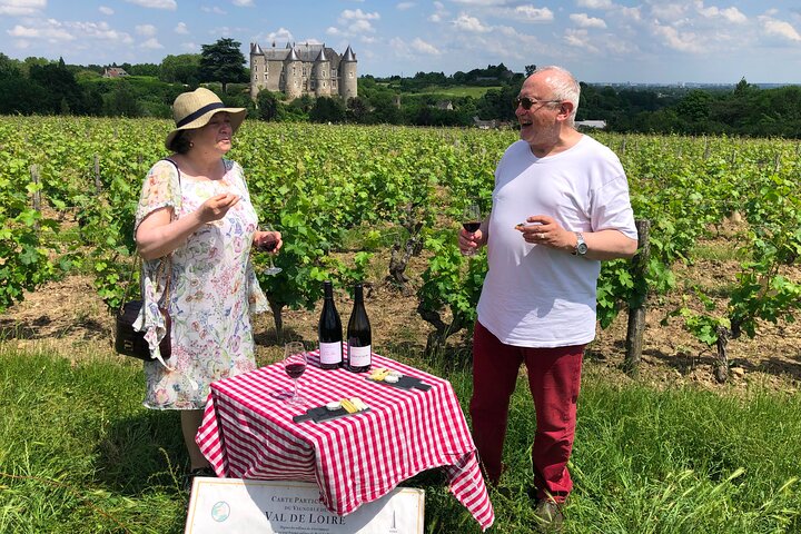 Loiredalens vintur på eftermiddagen från Tours eller Amboise