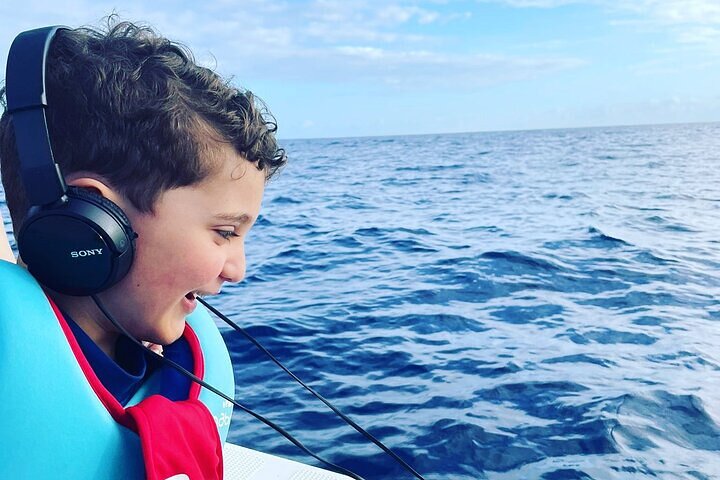 Whale Dream ltd - Whales watching and swim with dolphins