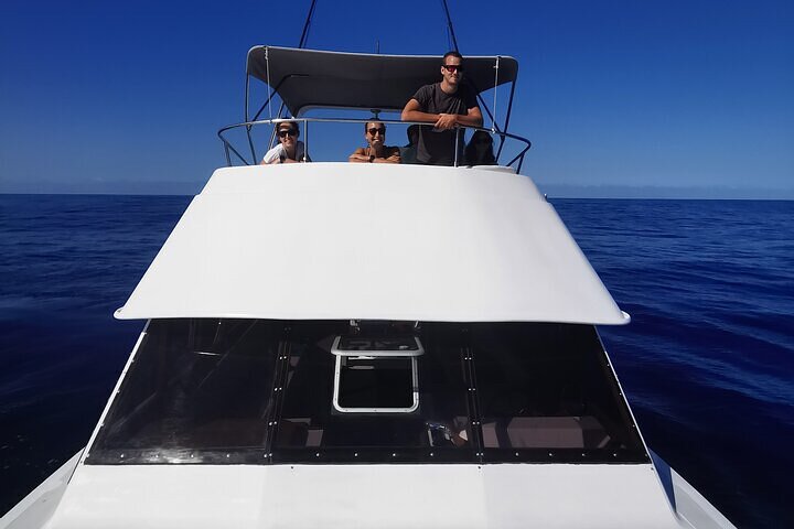 Whale Dream ltd - Whales watching and swim with dolphins