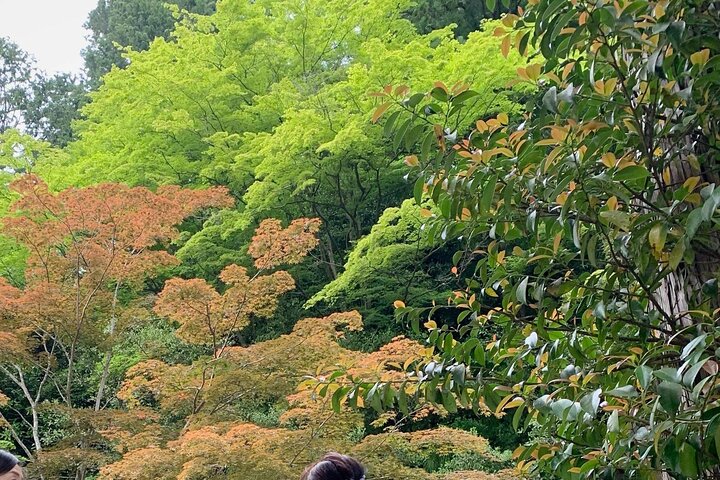 Kunstnerkeramik- og madlavningskursus i de gamle gader på Mt. Hiei