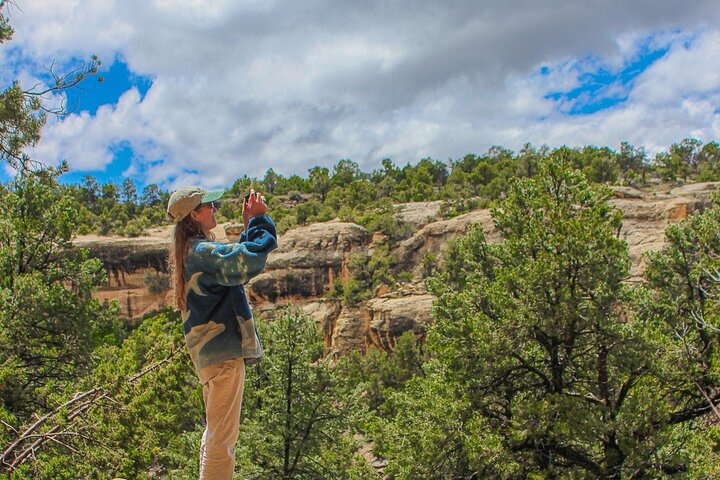 Heldagstur till Mesa Verde med Cliff Palace och lunch