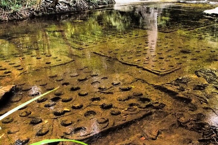 Tour del Parco Nazionale delle Cascate Phnom Kulen 1000 Linga