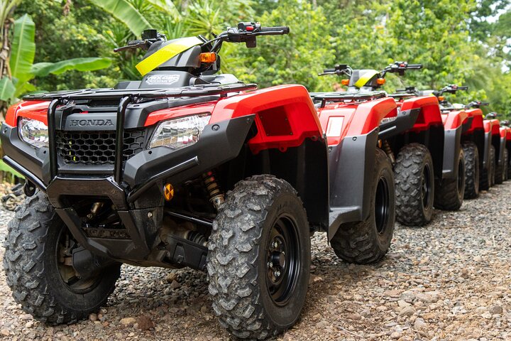 Manuel Antonio: visite en VTT hors route de la forêt tropicale et des cascades
