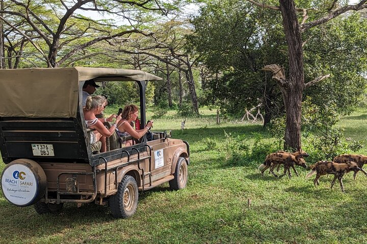 Desde Zanzíbar: Safari privado de día completo en Selous con vuelos