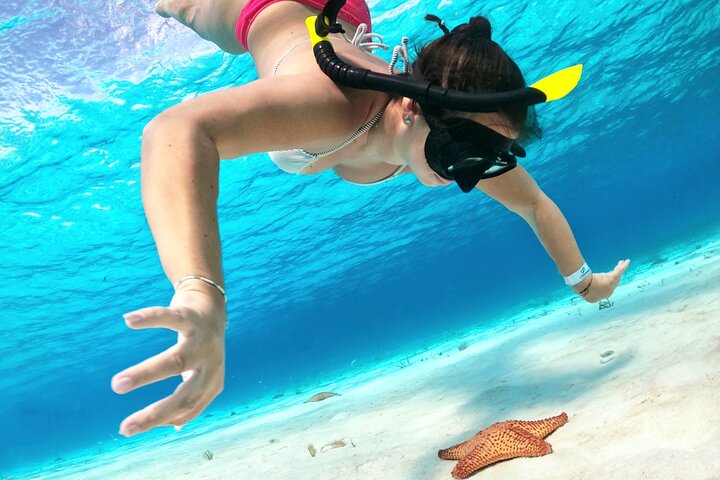 4 timmars Cozumel Turtle Sanctuary upplevelse på en lyxig Catamarán