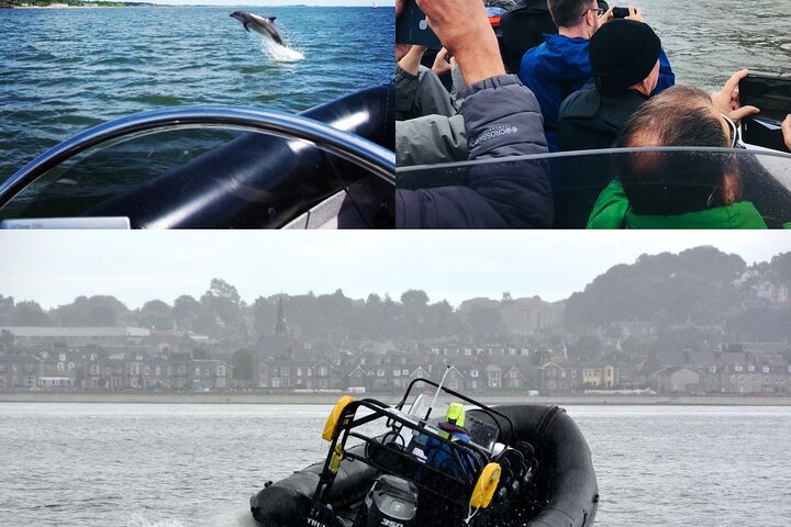 Boot Seafari Abenteuer