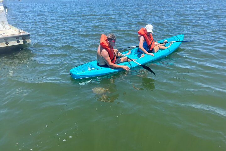 Tour avventuroso in SUP con delfini, lamantini e tartarughe marine di Sant'Agostino