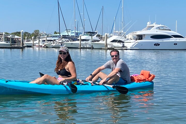 Tour avventuroso in SUP con delfini, lamantini e tartarughe marine di Sant'Agostino