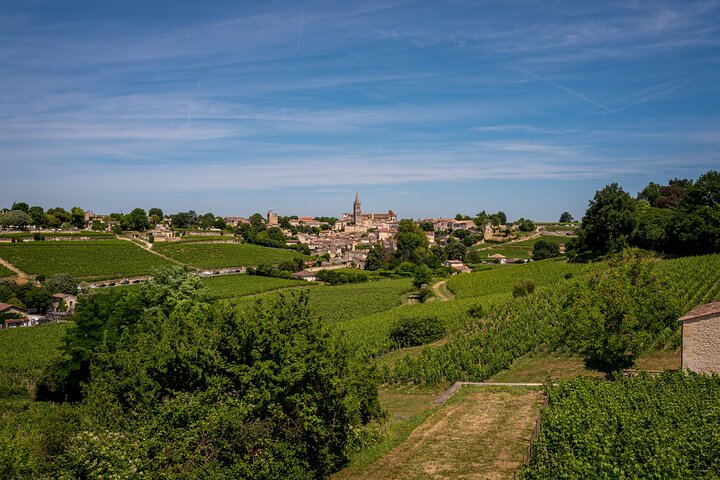 Saint Emilion Demi-Journée Ebike et Wine Tour avec pique-nique.