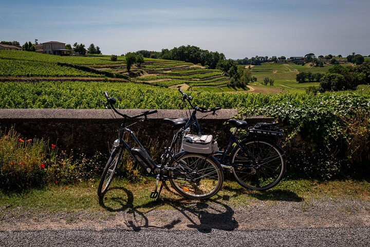 Saint Emilion Demi-Journée Ebike et Wine Tour avec pique-nique.
