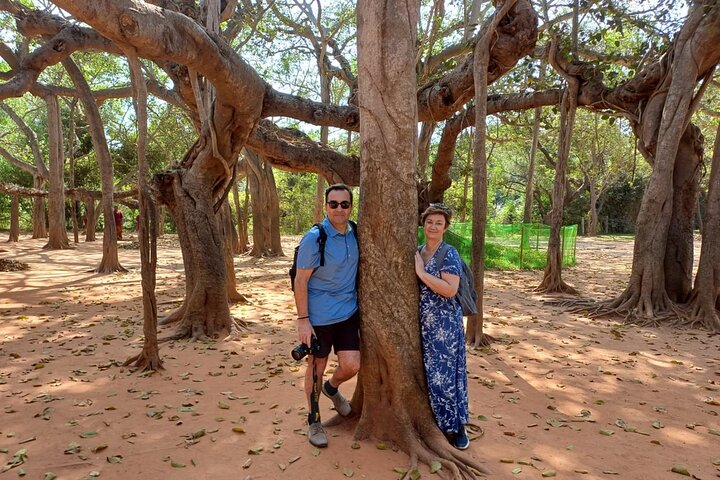 Pondi Marvels: Auroville & French Colony Tour fra Trichy