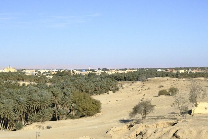 Tour in Berbers and Travellers Twelve and Tozeur in 2 days