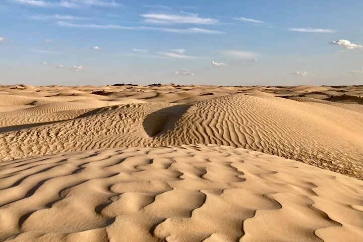 Tour in Berbers and Travellers Twelve and Tozeur in 2 days