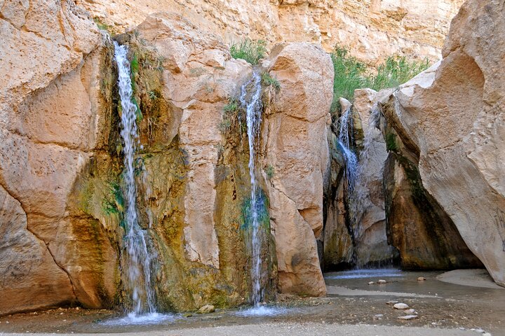Tour in Berbers and Travellers Twelve and Tozeur in 2 days