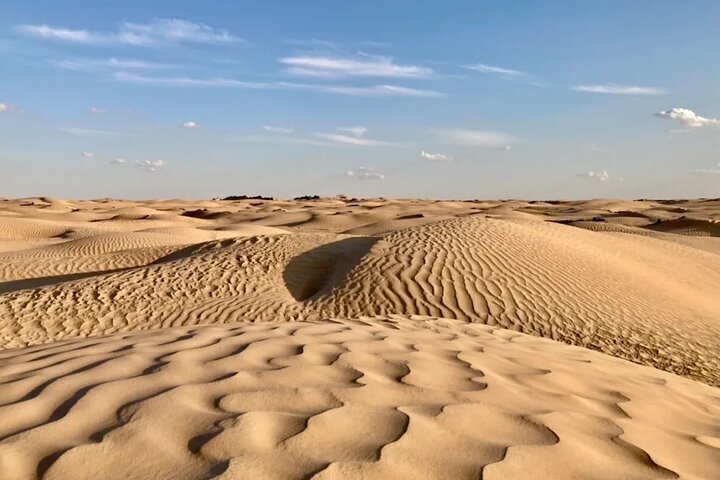 Tour in Berbers and Travellers Twelve and Tozeur in 2 days