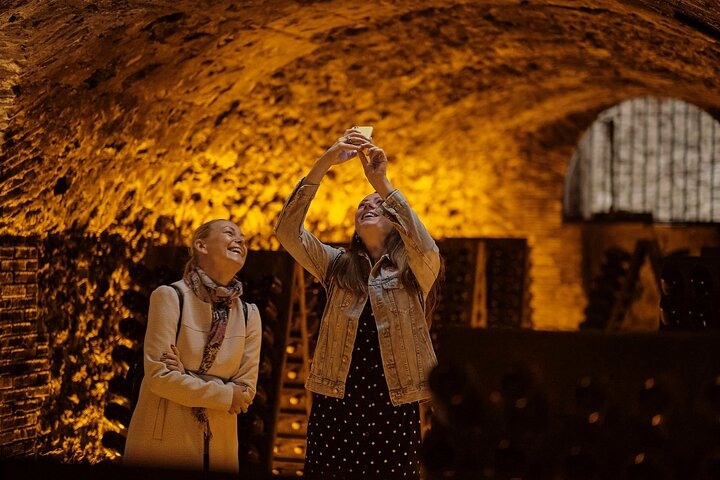 Bubble Champagne Tour vanuit Epernay (tour van een halve dag met kleine groepen)