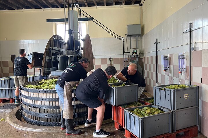 Bubble Champagne Tour vanuit Epernay (tour van een halve dag met kleine groepen)