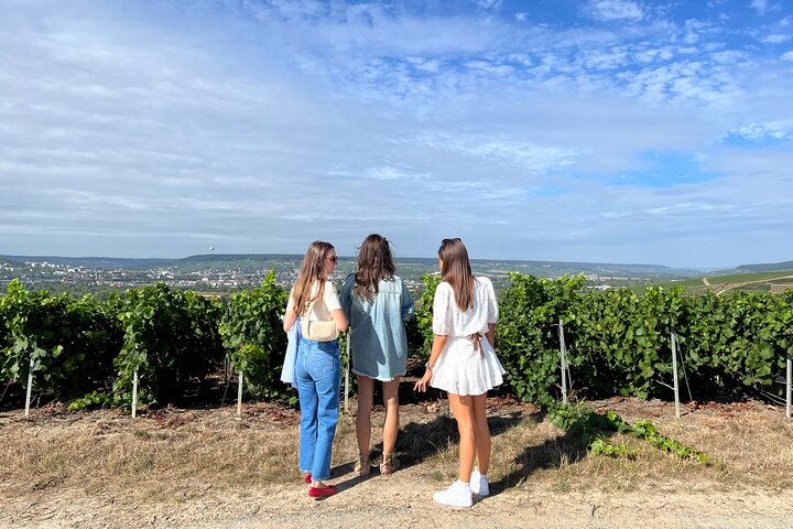 Must-see 3h30 fra Epernay (Privat halvdags Champagne Tour)
