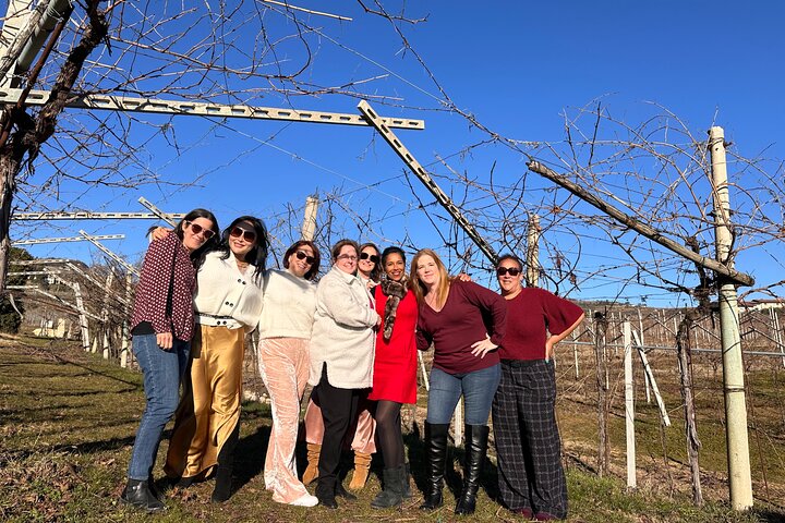 Große Tour durch Valpolicella : Schwerpunkt Amarone, 2 Weingüter und Mittagessen