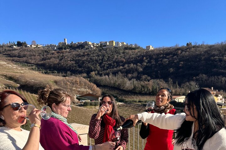 Große Tour durch Valpolicella : Schwerpunkt Amarone, 2 Weingüter und Mittagessen