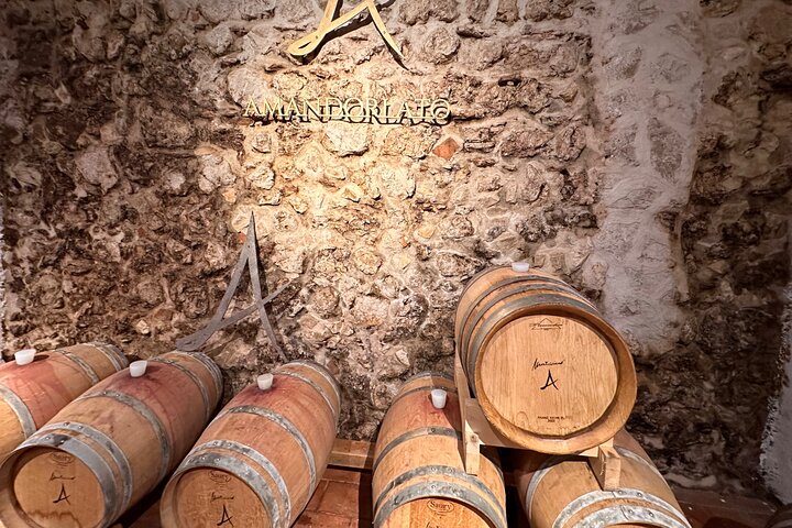 Große Tour durch Valpolicella : Schwerpunkt Amarone, 2 Weingüter und Mittagessen