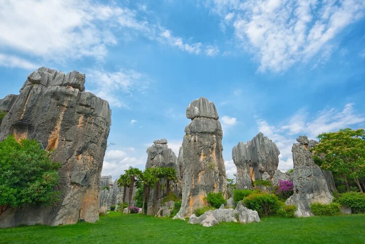 Excursión privada de un día al bosque de piedras de Kunming y Jiuxiang y almuerzo