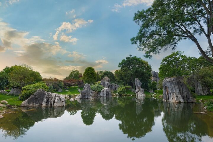Excursión privada de un día al bosque de piedras de Kunming y Jiuxiang y almuerzo