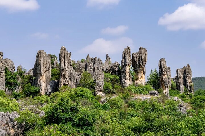 Excursión privada de un día al bosque de piedras de Kunming y Jiuxiang y almuerzo