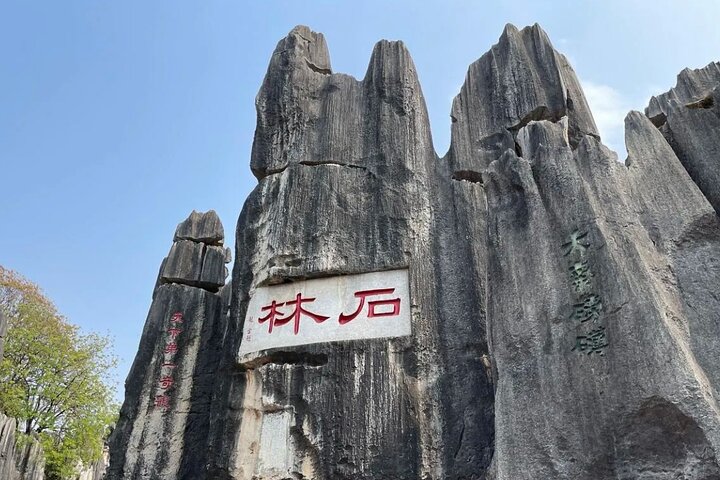 Excursión privada de un día al bosque de piedras de Kunming y Jiuxiang y almuerzo
