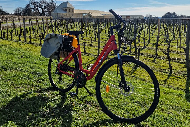 Saint Emilion Demi-Journée Ebike et Wine Tour avec pique-nique.