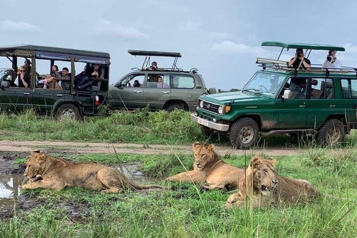 Queen Elizabeth National Park in Oeganda 3-daagse safaritocht