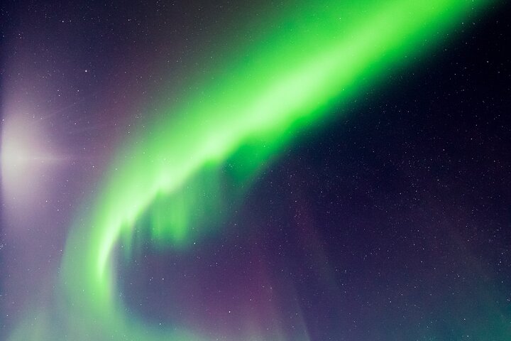 Rovaniemi : Norrskensjakt Max 8 + Proffs foton och 100% återbetalning