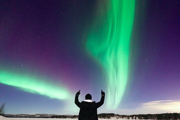 Rovaniemi : Norrskensjakt Max 8 + Proffs foton och 100% återbetalning