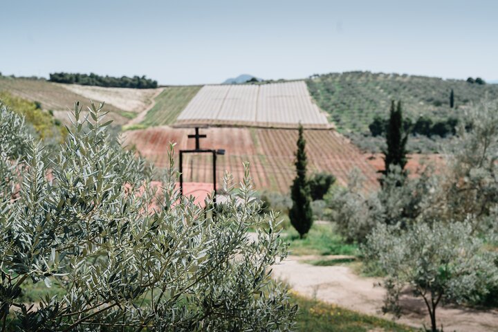 Olivenöl-Tour und Verkostung mit Sommelier – Kalentzi, Tagesausflug nach Athen