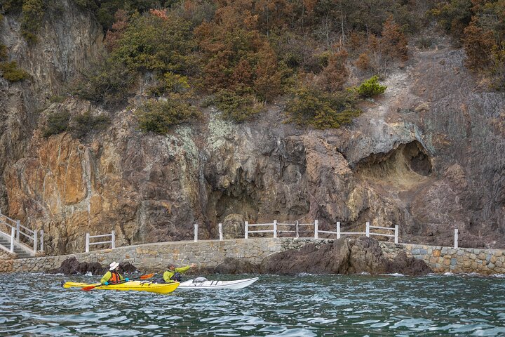 Explore la naturaleza que inspiró las películas de Ghibli en kayak (medio día)