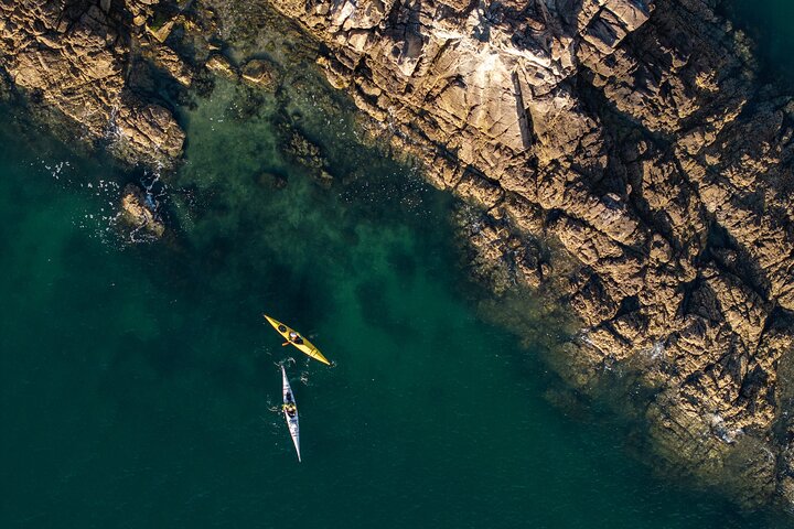 Explore la naturaleza que inspiró las películas de Ghibli en kayak (medio día)
