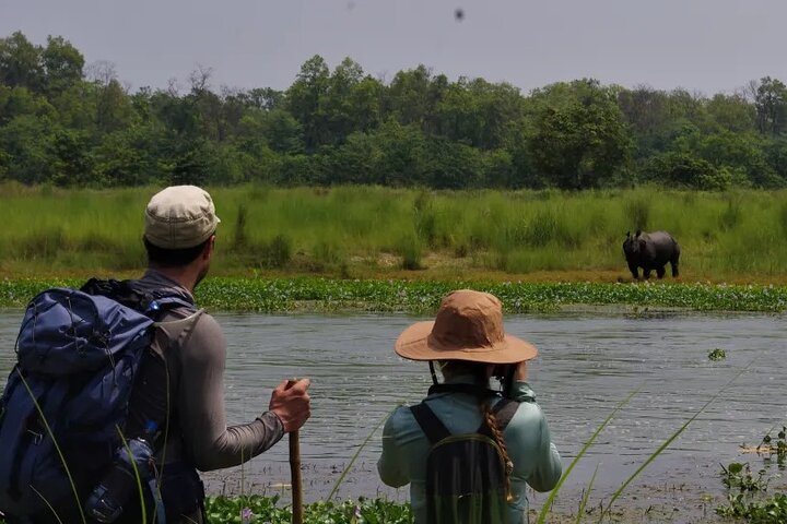 4 dagar 3 nätter i Chitwan National Park Jungle Trek från Sauraha