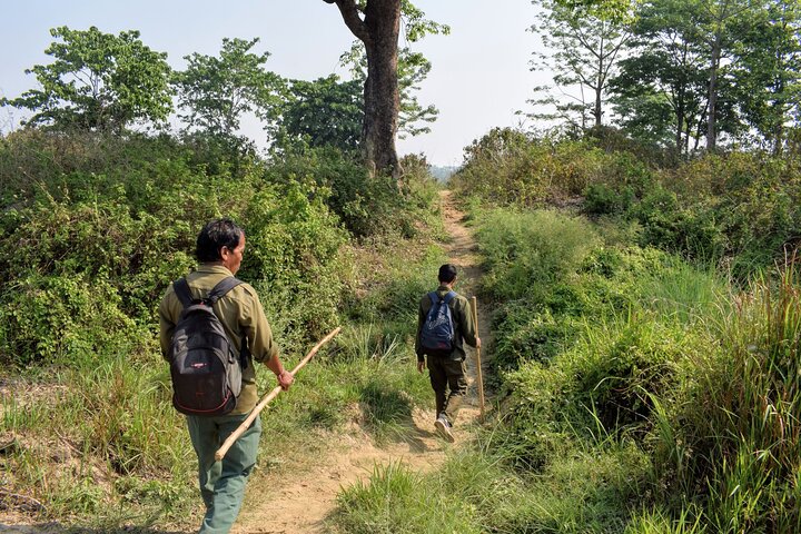4 dagar 3 nätter i Chitwan National Park Jungle Trek från Sauraha